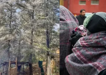 Sierra de Nuevo León se pinta de blanco por frente frío 24; habilitan 164 albergues