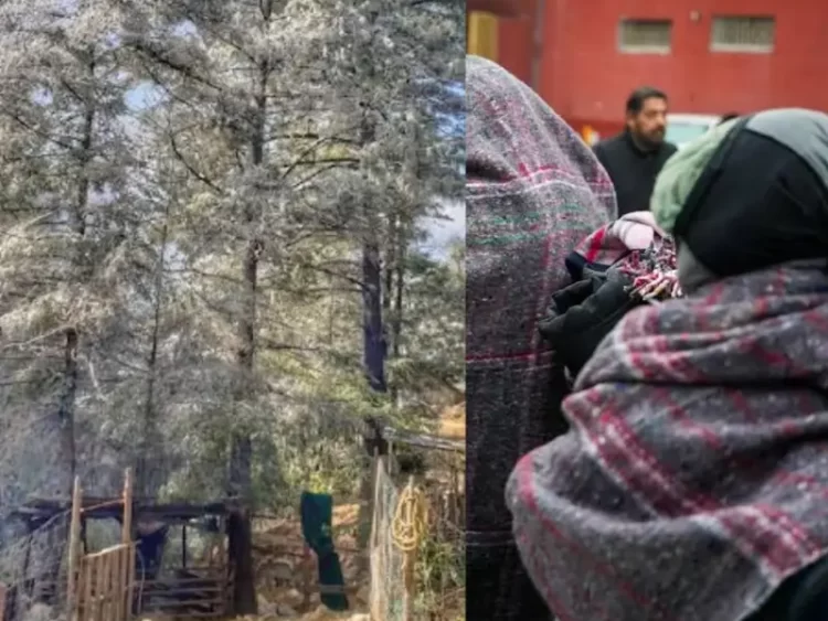 Sierra de Nuevo León se pinta de blanco por frente frío 24; habilitan 164 albergues