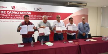 Llaman a ganaderos de Tamaulipas a revalidar 17 mil fierros del quinquenio 2025-2029