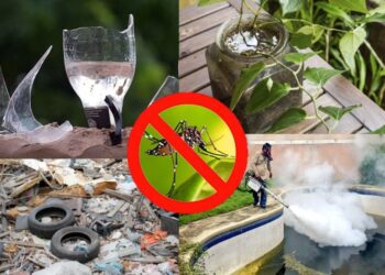 Tamaulipas se suma al Plan Nacional de control y combate al Dengue, Zika y Chikungunya 