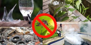 Tamaulipas se suma al Plan Nacional de control y combate al Dengue, Zika y Chikungunya 