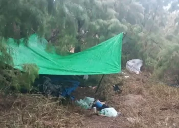 Aseguran “narco campamento” en isla de la frontera de Tamaulipas con Texas