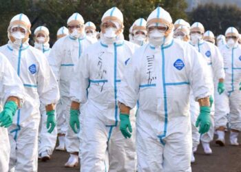 Japón sacrifica 50 mil pollos tras brote de gripe aviar en Iwate