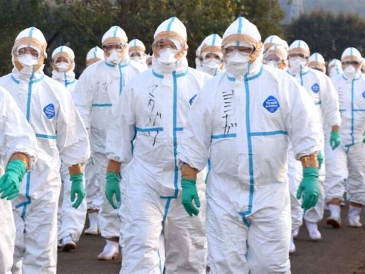 Japón sacrifica 50 mil pollos tras brote de gripe aviar en Iwate