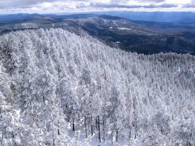 Suspenden clases y abren 200 refugios ante bajas temperaturas en Chihuahua