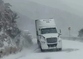 Chihuahua se pinta de blanco tras nevadas