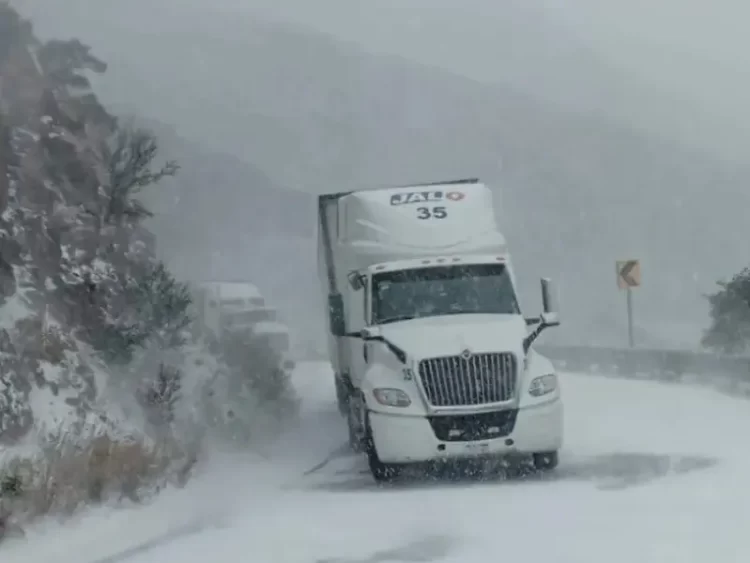Chihuahua se pinta de blanco tras nevadas