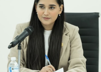 Plantean reforma a la Ley para el Desarrollo Familiar del Estado