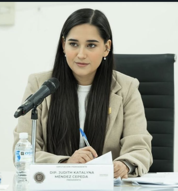 Plantean reforma a la Ley para el Desarrollo Familiar del Estado