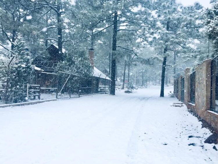 Se esperan nevadas en ocho estados del noroeste y norte de México