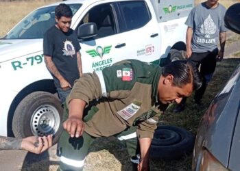 Atendieron patrullas de Ángeles Verdes a 26 mil 427 turistas en carreteras de Tamaulipas