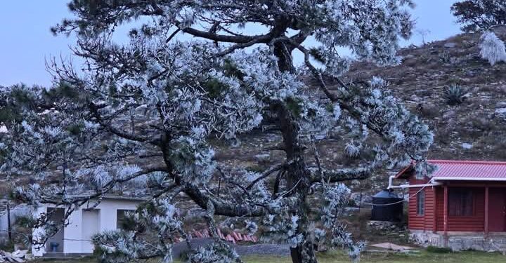 Nevó en “Pino Solo”