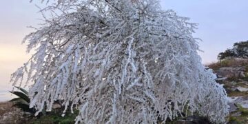 Nevó en “Pino Solo”