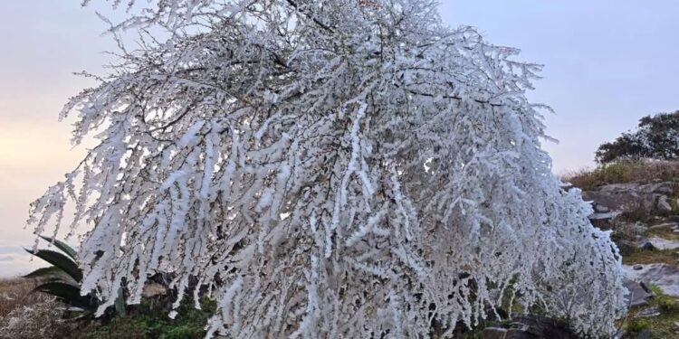 Nevó en “Pino Solo”