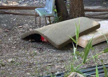 Asesinan a albañil y esconden su cuerpo bajo colchón