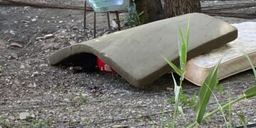 Asesinan a albañil y esconden su cuerpo bajo colchón