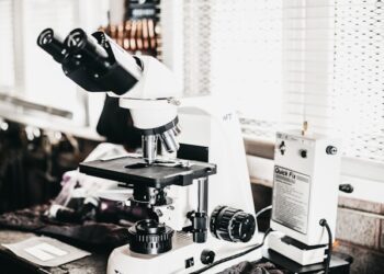 Pal-GHK Peptide in Biological Research and Cellular Systems