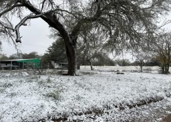 Sorprende nevada en San Nicolás, San Carlos y Cruillas de la zona centro de Tamaulipas