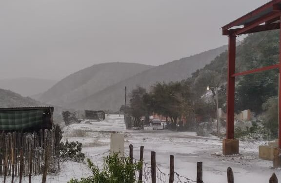 Sorprende nevada en San Nicolás, San Carlos y Cruillas de la zona centro de Tamaulipas