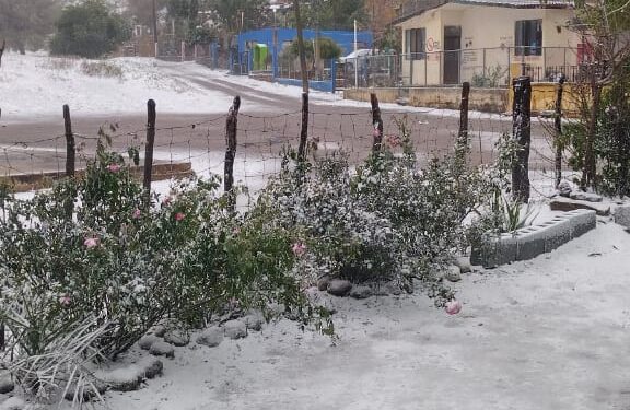 Sorprende nevada en San Nicolás, San Carlos y Cruillas de la zona centro de Tamaulipas
