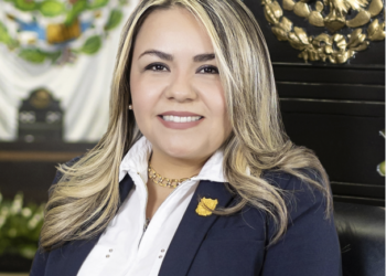 Diputada local tamaulipeca Elvia Eguía “chapulinea” del PT a Morena