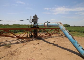 Este 28 de febrero cierra periodo de inscripción al Programa Especial de Energía para el campo