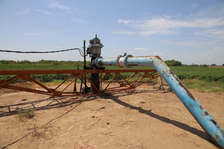 Este 28 de febrero cierra periodo de inscripción al Programa Especial de Energía para el campo