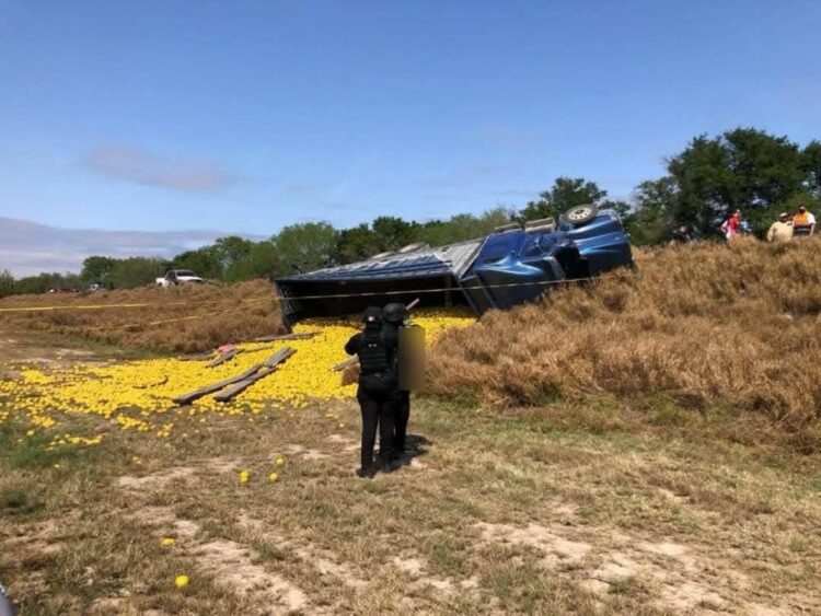 Un muerto y once heridos al volcar camión naranjero en carretera Barretal-Padilla