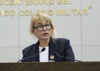 Propone Diputada Magaly Deándar una reforma al Código Penal