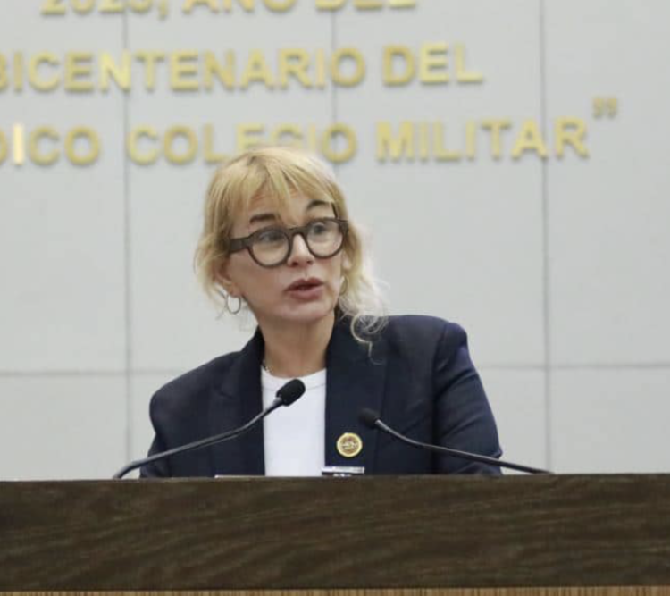 Propone Diputada Magaly Deándar una reforma al Código Penal