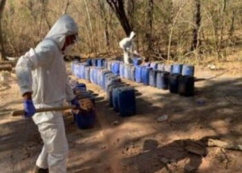 Autoridades aseguran doce narcolaboratorios en Sinaloa