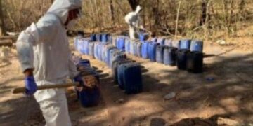 Autoridades aseguran doce narcolaboratorios en Sinaloa