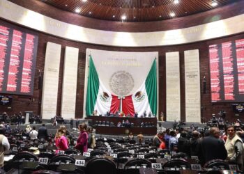 Diputados aprueban por mayoría dictamen que protege a maíces nativos; prohíben transgénicos