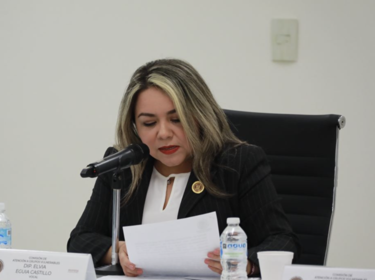 Reformarán el Código Civil del Estado en apoyo a discapacitados