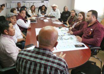 Avanza zona metropolitana de Tamaulipas y Veracruz en estrategia de crecimiento