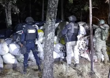 Aseguran 117 costales de mariguana en Nuevo Casas Grandes, Chihuahua