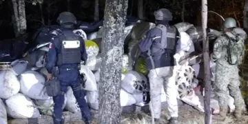 Aseguran 117 costales de mariguana en Nuevo Casas Grandes, Chihuahua