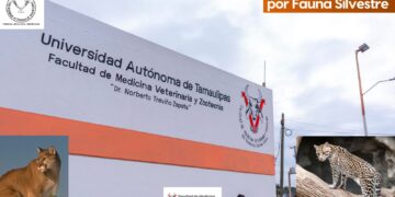 Imparte la UAT conferencias sobre Manejo y Prevención de Riesgos por Fauna Silvestre