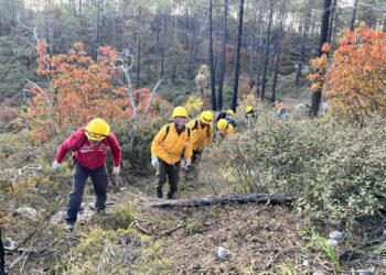 Capacitan a brigadas para prevención y combate de incendios forestales en Tamaulipas