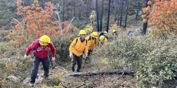 Capacitan a brigadas para prevención y combate de incendios forestales en Tamaulipas