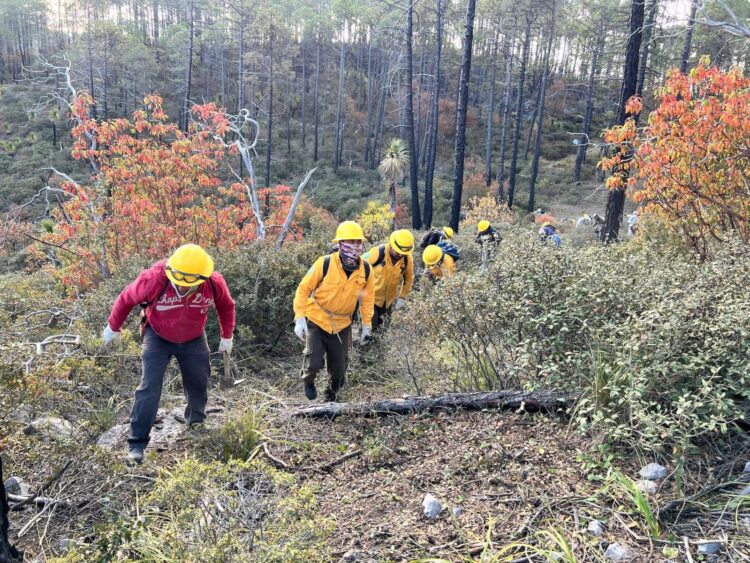 Capacitan a brigadas para prevención y combate de incendios forestales en Tamaulipas