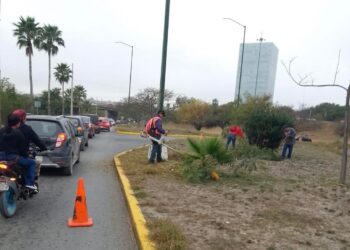 Gobierno de Victoria limpia y conserva 35 mil metros lineales de avenidas y jardines.