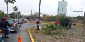 Gobierno de Victoria limpia y conserva 35 mil metros lineales de avenidas y jardines.