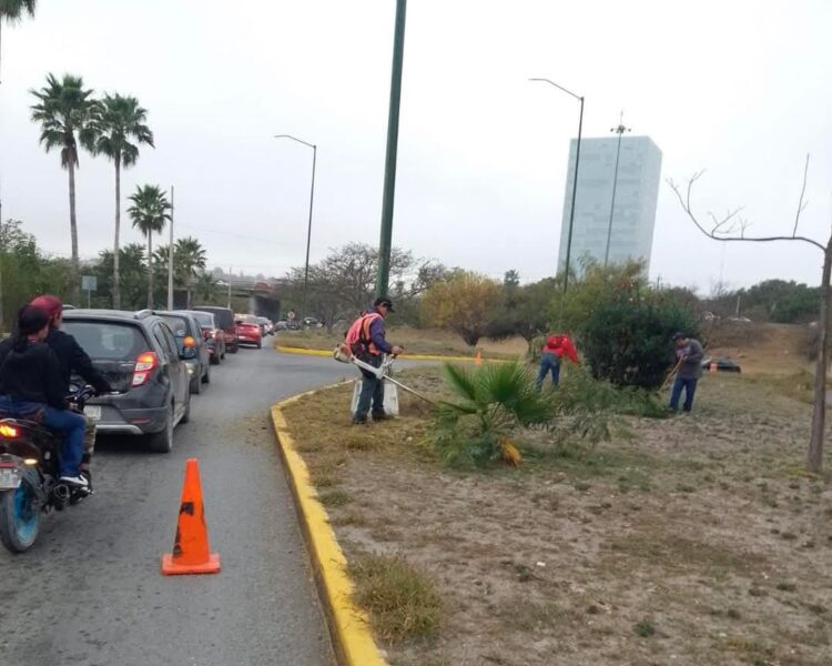 Gobierno de Victoria limpia y conserva 35 mil metros lineales de avenidas y jardines.
