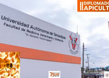 Impartirá la UAT un diplomado en Apicultura en la Facultad de Medicina Veterinaria