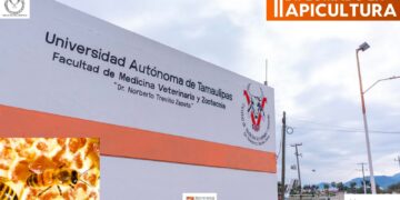 Impartirá la UAT un diplomado en Apicultura en la Facultad de Medicina Veterinaria