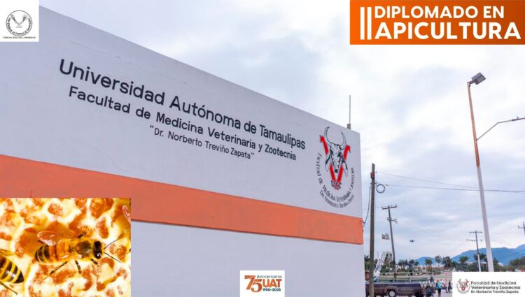 Impartirá la UAT un diplomado en Apicultura en la Facultad de Medicina Veterinaria