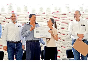 Anuncia Sheinbaum créditos blandos para pequeños y medianos productores en marzo
