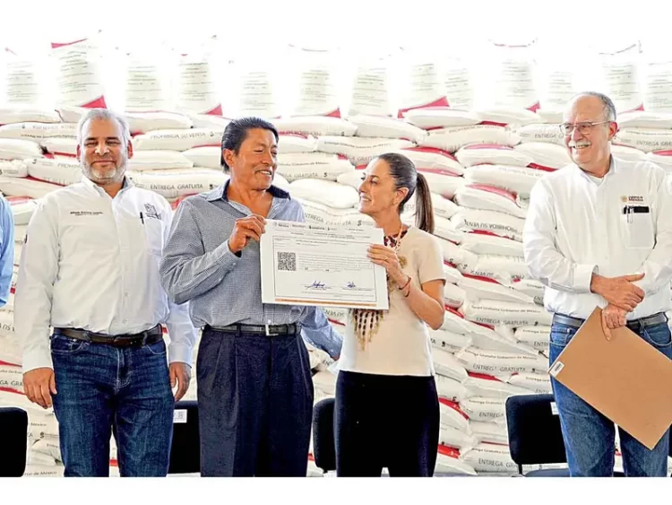 Anuncia Sheinbaum créditos blandos para pequeños y medianos productores en marzo