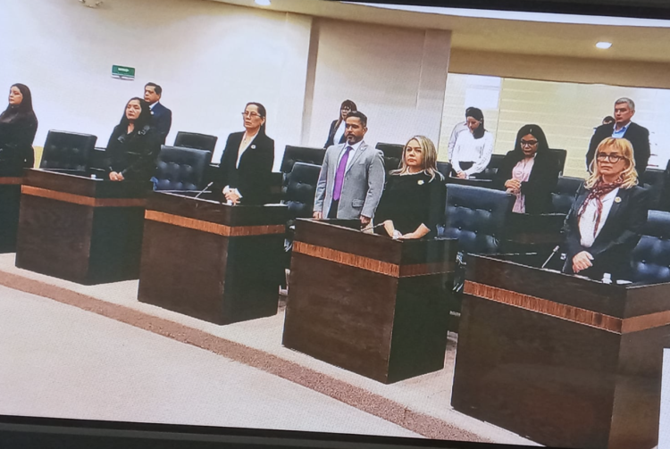 Diputados guardan minuto de silencio por agricultores muertos en San Fernando